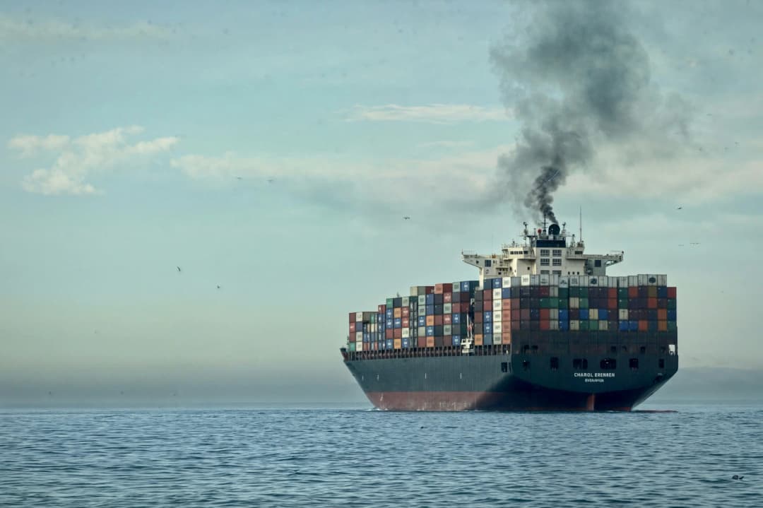Export complexity, industrial complexity and regional economic growth in Brazil thumbnail